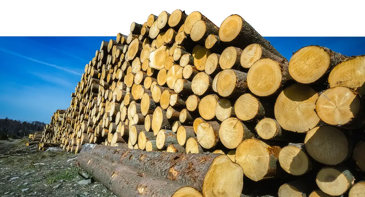 Jerry's-Sawmill-Supplies-Kentucky